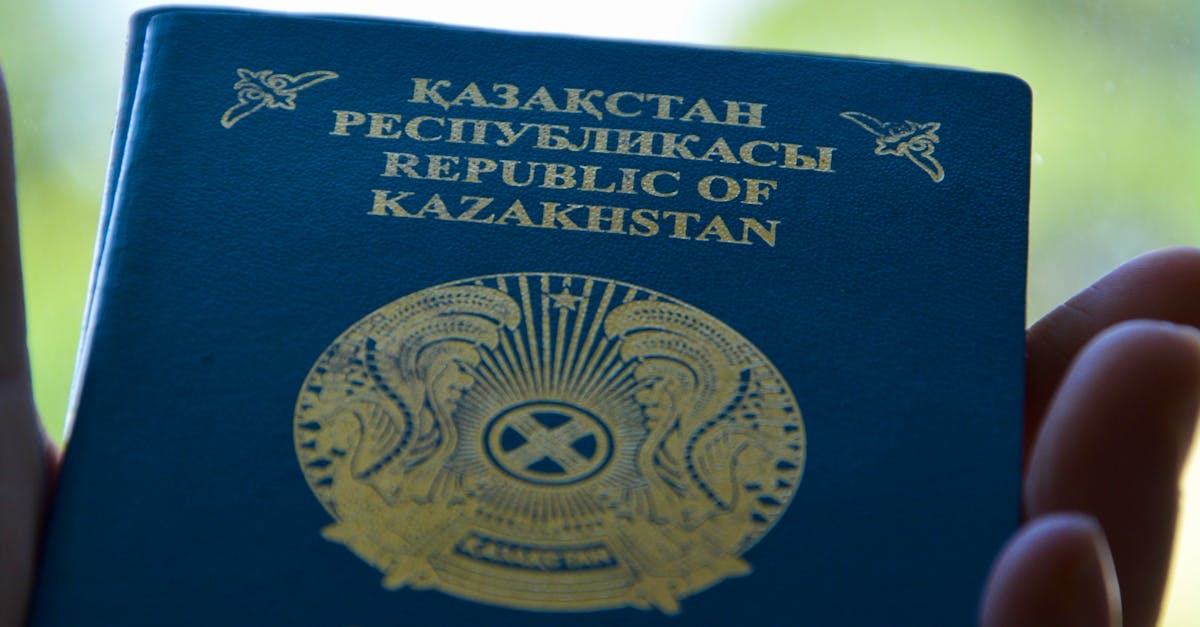 Navigating the Online Visitor Visa Application System