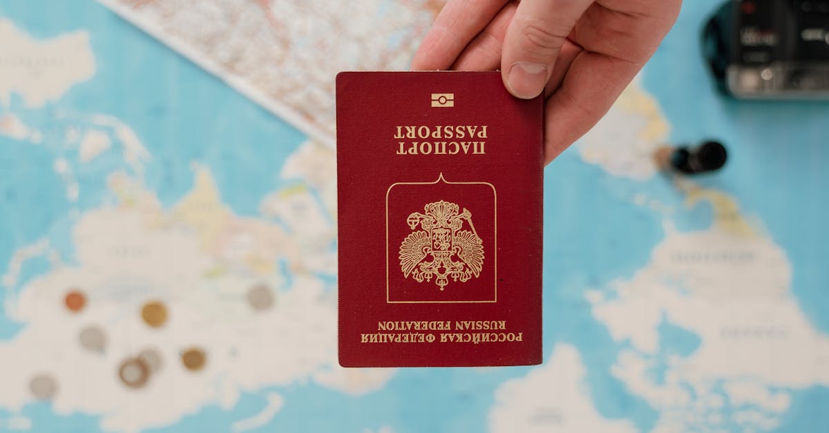 The Role of a Visa Agent in Partner Visa Applications
