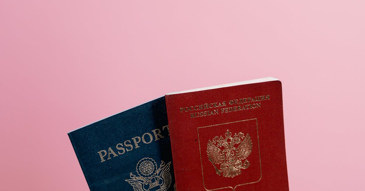 The Role of a Visa Agent in Your Student Visa Journey